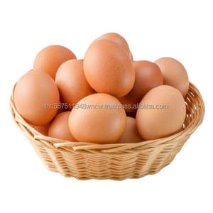 Huevos de Gallina Frescos de Granja, Marrones y Blancos, Huevos de Gallina Conservados y Congelados - Product Image 6