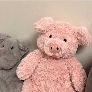 Orsacchiotto di Peluche Aika Trendy, Giocattoli Animali Imbottiti in Cotone PP, Decorazione Kawaii per la Stanza, Vendita all'Ingrosso - Product Image 3