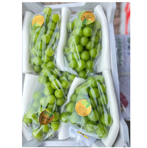 องุ่นสด เหมาะสำหรับตลาดค้าปลีก บริการจัดส่งอาหาร และขายส่ง - Product Image 2