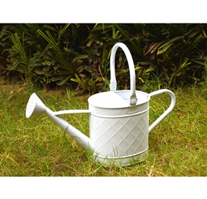 Arrosoir en métal de forme classique avec finition marron enduit de poudre idéal pour une utilisation dans les coins et les studios de plantes d'intérieur - Product Image 1