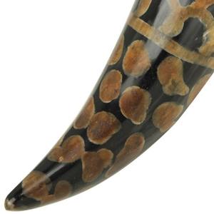 Cuerno vikingo pulido para beber Cuerno de Búfalo de la mejor calidad para el hogar Restaurante Hotel Ocasiones navideñas - Product Image 2