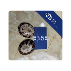 Concha de limpet en OFERTA para proyectos de artesanía hechos a mano y aplicación de exhibición para producción a granel en Vietnam - Product Image 1
