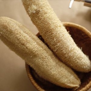 Almohadillas de esponja vegetal sin residuos: totalmente naturales, sin plástico, ideales para la limpieza facial, corporal y del hogar VIET FARGIMEX - Product Image 3