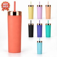Gobelet de paille en plastique à double paroi 16oz, gobelet maigre avec couvercle de galvanoplastie en or champagne