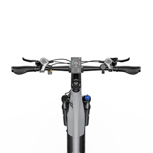 Bicicleta Eléctrica Duotts E29 Desde Almacén en la UE con Doble Amortiguador Batería Oculta de 13.5Ah Autonomía Potencia de Tracción Trasera 48V 250W - Product Image 4
