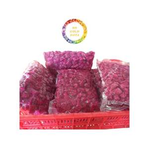 Vietnam Frozen Dragon Fruit Red & White Flesh Premium Quality, Bulk Wholesale at Factory Direct Price, Ideal for Export - Product Image 4