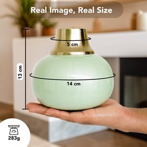 Decoración para el Hogar con Acabado Elegante y Brillante, Artículos de Decoración Perfectos para la Sala de Estar, Ambiente Saludable con Diseño Moderno - Product Image 2