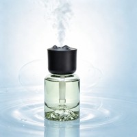 Mini Diffuseur d'Arômes de Luxe en Verre avec Couvercle Montagne, Humidificateur Portable pour Maison, Bureau, Voiture, Parfum Longue Durée