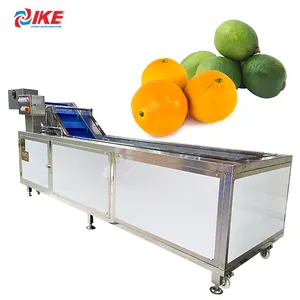 Machine à laver les fruits, machine à laver les agrumes, machine à laver les citrons, capacité de 1500 kg