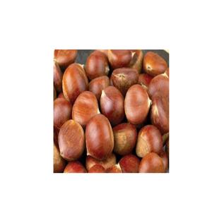 Châtaignes Séchées Biologiques Fortes Grade A1 Douces Pelées Certifiées Casher Brutes Carton de 10kg - Product Image 5