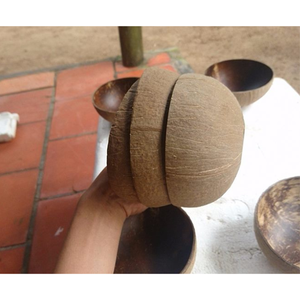 Tazón de cáscara de coco Ideal para servir frutas, exhibición de ensaladas o almacenamiento de escritorio en entornos domésticos de inspiración ecológica - Product Image 5