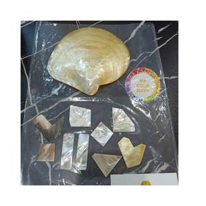 HOJA DE CONCHA DE NÁCAR BRILLANTE DE VENTA PARA DECORACIÓN DE INCRUSTACIONES PERSONALIZAR FORMA AJUSTE TAMAÑO HOJA DE NÁCAR O PERLA - Product Image 5
