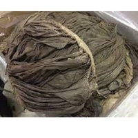 Vente en gros de tripes transformées naturelles avec graisse et organes, désossées de boeuf Omasum et buffle halal, surgelées et hachées