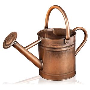 Riego de Metal verde decorativo para plantas de interior y exterior, riego de flores para jardín y casa, venta al por mayor, 2023 - Product Image 6