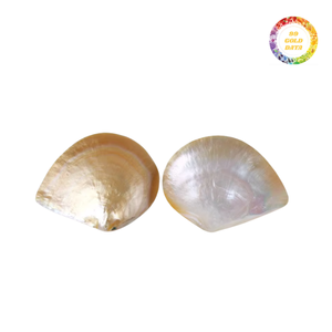 Placas de nácar de bajo costo, exportador a granel, superficie brillante pulida, material de concha natural resistente y duradero para joyería - Product Image 2