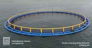 Cage flottante pour poissons de haute qualité AQT HDPE, type cage ronde pour pisciculture, diamètre de 10m à 50m et profondeur de 6 mètres - Product Image 4