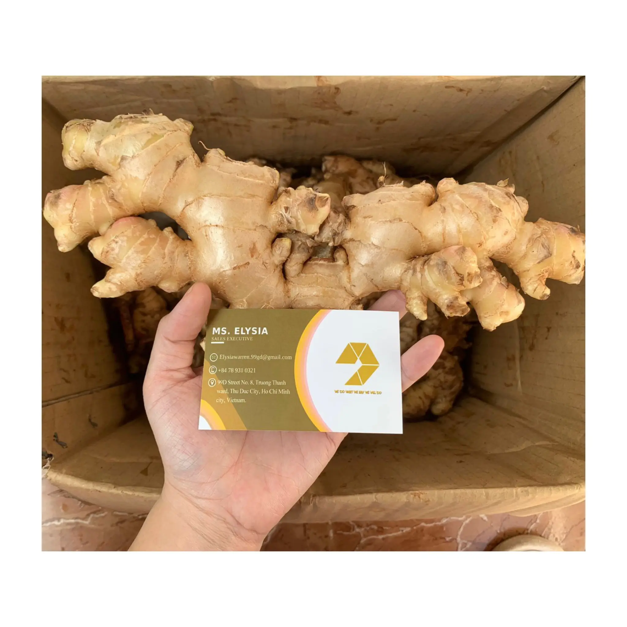 Fresh Vegetables Products Organic Ginger Vietnam Exporter Good Price Fresh Ginger Spices Order In Bulk 99 Gold Data