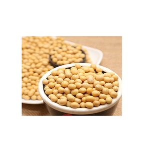 High Quality Grade 1 <b>Soybean</b> Granules Dried Seeds Style for Agriculture Use HERBS GROUP - Product Image 2