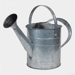 Regadera de jardín contemporánea en acabado galvanizado mate con líneas limpias y diseño ligero para uso diario - Product Image 2