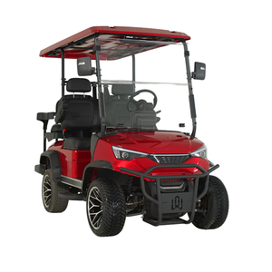 Buggy Eléctrico de 8 Plazas para Complejos Turísticos |   Paquete de Litio de 72V, Velocidad de 28 km/h y Autonomía de 85 km - Product Image 4