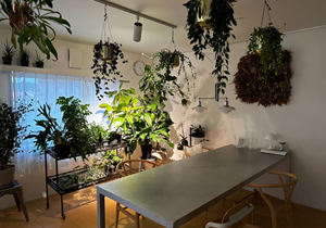 Haute qualité 85 3000K 20W HADES LED plafonnier excellente utilisation en extérieur plante d'intérieur saine élèvent des lumières excellente fabrication - Product Image 4