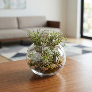 VBW0005 - Clear <b>Bubble</b> Bowl Glass <b>Vase</b> - 5" - Product Image 5