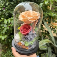 Roses éternelles personnalisées sous cloche en verre, mousse et hortensias préservés, et gypsophile pour la Saint-Valentin, la fête des Mères, les cadeaux d'anniversaire