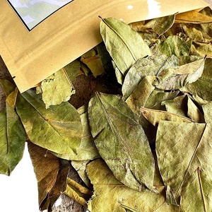 ราคาที่ดีที่สุดแห้งใบ soursop/ใบ graviola, สินค้าดี - Product Image 5