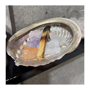 Nueva Llegada, Estilo Nórdico, Concha de Abulón Paua, Directo de Fábrica, Concha de Abulón Natural Verde y Blanca, Venta Económica para Decoración del Hogar - Product Image 6