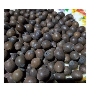 Fournisseur de premier plan au Vietnam propose des graines de lotus noir séchées entières disponibles à l'exportation - 99 GD - Product Image 4