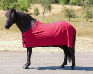 Alfombra de lana baya La alfombra transporta la humedad hasta la superficie de la alfombra. Doble correa trasera y forro suave a la cruz. - Product Image 2