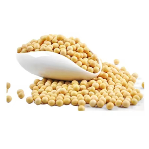 Semilla de soja rica en proteínas saludable y orgánica - Product Image 2