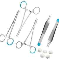 Kit d'instruments chirurgicaux vétérinaires professionnels ciseaux en acier inoxydable porte-aiguilles poignée de scalpel base Dissection HEXA