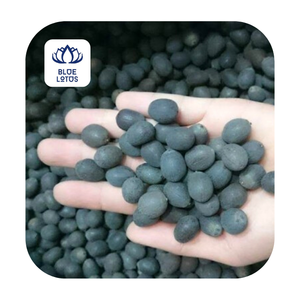 เมล็ดบัวหลวงดำ คุณค่าทางโภชนาการสูง ราคาส่งถูกจาก GEM - Product Image 1