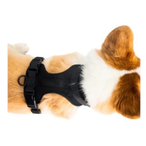Harnais pour chien réglable en nylon avec boucle de fermeture, couleur noire unie, style simple, type Rower - Product Image 4