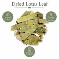 Feuilles de lotus séchées à l'air de qualité supérieure pour tisanes et cuisson vapeur, ingrédient culinaire naturel