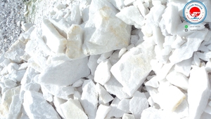 Poudre de carbonate de calcium ultrafine 1200 mesh, qualité industrielle, haute pureté CaCO3 pour applications de revêtement - Product Image 6
