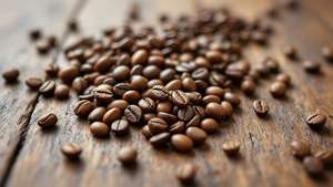 Venta al por mayor de granos de café árabe tostado orgánico de nueva cosecha, café verde para exportación, los más vendidos - Product Image 5