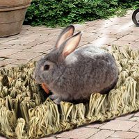 Délicieux lapin naturel jouet herbe tissé tapis paille fourrage tapis pour lapins herbe jouet à mâcher lit d'herbe confortable pour animaux de compagnie