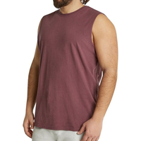 Camiseta Deportiva de Tirantes para Hombre, Transpirable, de Secado Rápido, Talla XXL, Lisa, para Gimnasio, Culturismo, Fitness, Running, Poliéster, Logotipo OEM 3D