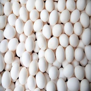 Huevos de Gallina Marrones Premium, Huevos Frescos de Granja, Ricos en Proteínas, Calidad Natural, Listos para Venta al por Mayor - Product Image 4