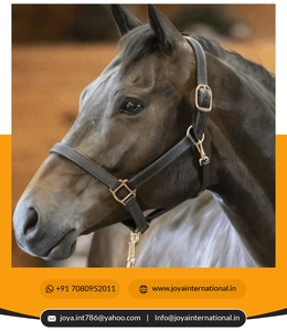 อุปกรณ์เสริมขี่ม้าอัจฉริยะสายคล้องคอปรับได้พร้อมสแนปพับทำจากหนังและไนลอนที่มีคุณภาพ - Product Image 6