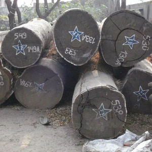 Troncos de wengué personalizados para la venta Troncos de wengué para la industria del mueble Madera de wengué para muebles de bricolaje - Product Image 1