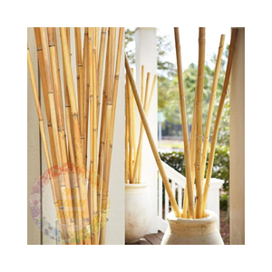 Postes de bambú versátiles para cercas de jardinería y manualidades: estacas de bambú de alta calidad y ecológicas - Product Image 5