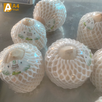 Polpa de Coco Tailandesa Entera, Dulce y Jugosa, Grado A, 1.2 kg, Perfectamente Madura para Bebidas Refrescantes o Platos Gourmet
