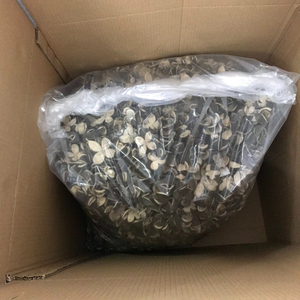 Vente en gros de soie de peau d'orange amère de mandarine séchée hachée de haute qualité - Product Image 1