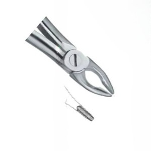 Forceps d'extraction de dents Fig34 Produits de logo personnalisé de vente à chaud Instruments dentaires en acier inoxydable de haute qualité - Product Image 4