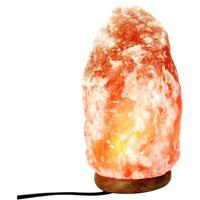 Fabricant de lampes au sel en cristal naturel rose de l'Himalaya, bâton d'halogénérateur électrique fabriqué à la main, décoration sculptée sur mesure
