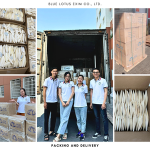 Bloc naturel d'enrichissement en calcium d'os de seiche pour oiseaux Reptiles Hamsters affûtage du bec et soin des os - Product Image 3