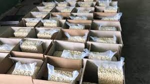 A la venta, anacardos procesados de grado W320 de China, nueces secas envasadas al vacío en una bolsa, estilo de cultivo de origen rápido - Product Image 6